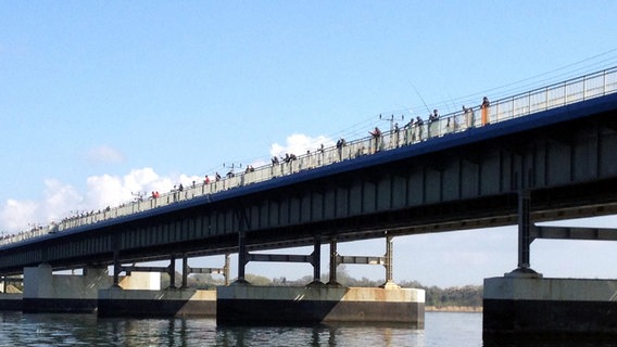 Auf gut 400 Metern Länge stehen die Angler auf dem Rügendamm bei Stralsund. Und sie alle haben nur eins vor, so viel Hering wie möglich an ihre Angeln zu bekommen. © NDR/Clipfilm/Friederike Witthuhn 