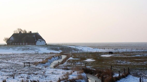 Das Leben auf der Hallig ist besonders im Winter einsam und trist. Die bizarre Schönheit der Natur ist für Besucher geheimnisvoll und von großem Reiz. © NDR/MedienKontor/Carolin Reiter 