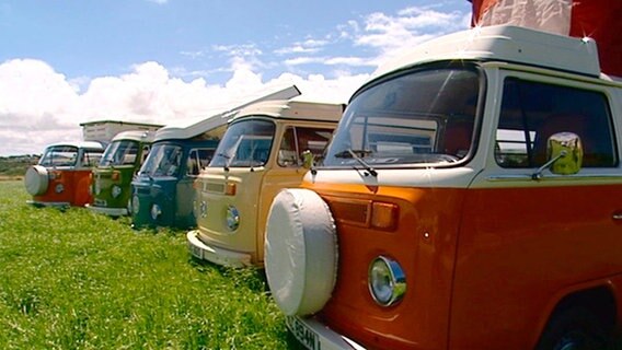 Mit dem VW-Bulli durch Cornwall: Hunderte Busse rollen im Sommer über enge Feldwege - auf der Suche nach Sonne, Wellen und Einsamkeit. © NDR 