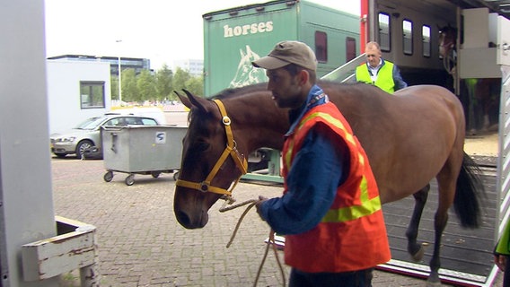 Beim Verladen der Pferde auf dem Amsterdamer Flughafen: Fahrer Stuart Brown (vorn) und Guido Klatte (hinten). © NDR/TV Plus GmbH/Mike Rieth 