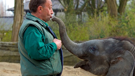 Elefantenpfleger Thorsten Köhrmann liebt seine Schützlinge © NDR/Hagenbeck 