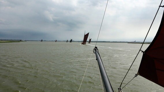 Ein frischer Wind aus Nordost weht den alten Booten entgegen. Auf dem Barther Bodden ist den ganzen Sommer Regattazeit. © NDR 