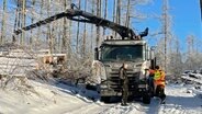 Mark Rafflenbeuls Holz wird abgeholt - dabei bringen die Stämme im Winter 2020 / 21 kaum Geld: Gerade mal die Kosten für das Fällen der Bäume sind gedeckt. © NDR/WDR 
