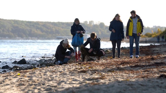 Sie studieren Nachhaltigkeit an der Kieler Universität und versuchen in der StrandFabrik aus Seegras Verpackungsmaterial und Papier zu gewinnen. Das Projekt der Masterstudentinnen nennt sich "Rematter" und hat in der StrandFabrik einen idealen Ort für ihre Forschung gefunden. © NDR 