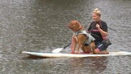 In Stade lernen auch Hunde den Trendsport Stand-up-Paddling. © NDR/AZ Media 