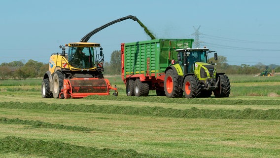 Bei der Grasernte sind die Erntemaschinen im Dauereinsatz. © NDR/Hellwig Film GmbH 