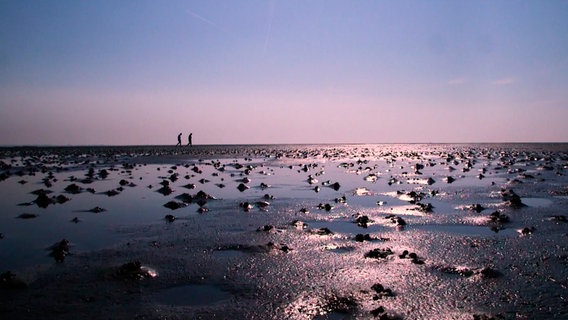 Das Wattenmeer bei St. Peter-Ording. © NDR 