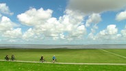 Links ist Meer: Der Blick aufs Watt und den Himmel scheint nie zu enden. © NDR 