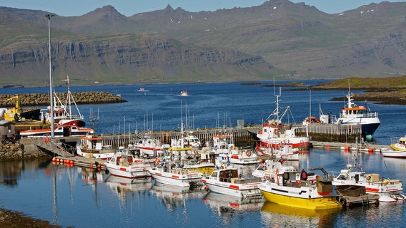 Hafen im Osten Islands. © NDR/HR/Gerhard Amm 