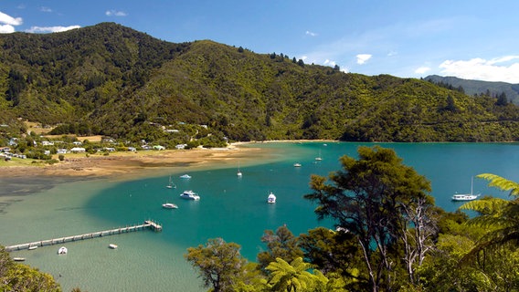 Grüne Küstenlinie und türkisblaues Wasser: Die Marlborough Sounds in Neuseeland. © NDR/nonfictionplanet/Destination Marlborough 