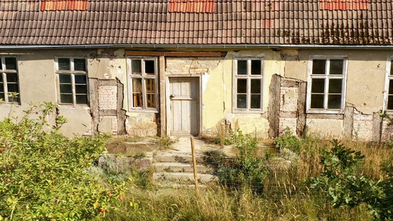 Fast vierzig Jahre lang waren die Fenster vom Gutshaus Ramelow zugenagelt - das Haus stand leer. © NDR 