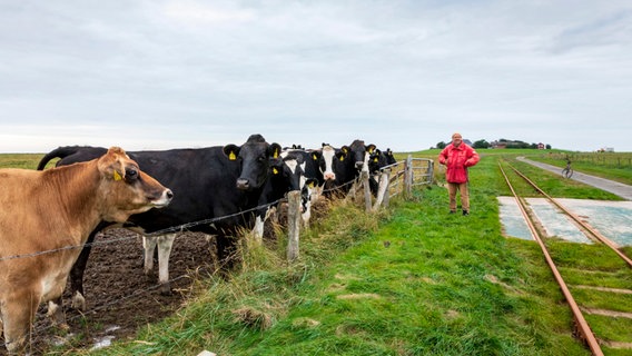 Hans passt im Sommer auf die Kühe auf. © NDR/Mirko Honnens 