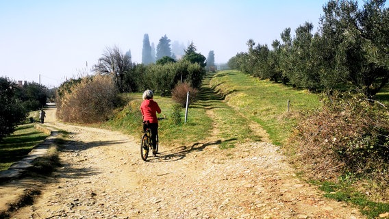 Hike & Bike auf dem Parenzana Trail entlang der Slowenischen Riviera. © NDR/Heinz Galling 