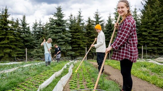 Marie Woeste arbeitet mit Praktikanten auf dem Feld. © NDR/WDR/Melanie Grande 