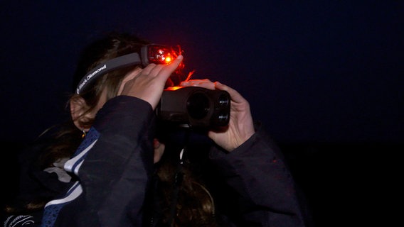 Mit neuester Wärmebildtechnik sind die Ornithologen selbst in der Nacht den Wanderratten auf der Spur und dokumentieren den Fraß von Eiern und Küken. Mit neuester Wärmebildtechnik sind die Ornithologen selbst in der Nacht den Wanderratten auf der Spur und dokumentieren den Fraß von Eiern und Küken. © NDR