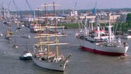 Einlaufparade Hafengeburtstag. © NDR 