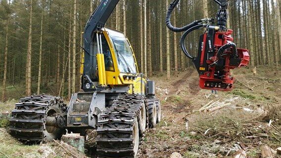 Täglich kann so ein Harvester bis zu 200 Bäume umlegen. Mit diesem Spezialgerät werden heutzutage fast alle Bäume im Harz gefällt. © NDR/nahaufnahme medienproduktion/Stefan Radüg 