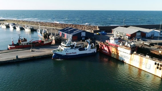 Die Iris, das neueste Schiff von "Kutterfisch" aus Cuxhaven liegt im dänischen Hanstholm. Von hier aus starten viele Fangschiffe aus ganz Europa in die Nordsee. © NDR/Candeo 