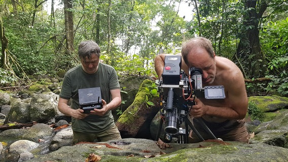 Oliver Goetzl (links) und Ivo Nörenberg (rechts) versuchen, auch die Insekten von Bioko mit der Kamera einzufangen. © NDR/Doclights GmbH/NDR Naturfilm/Tania Escobar 