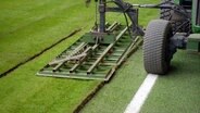 Der Rollrasen wird ins Volksparkstadion verlegt © NDR/Hanse TV 
