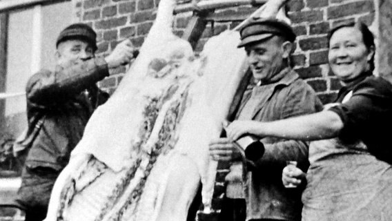 Hausschlachten in Ostfriesland 1956 © NDR/creatv Sachsen/Klaus Wollscheid 