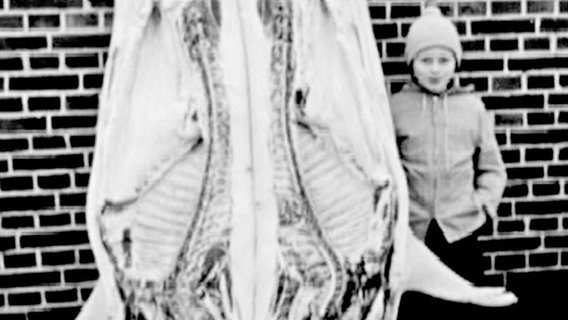 Hausschlachten in Ostfriesland 1958 © NDR/creatv Sachsen/Klaus Wollscheid 