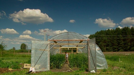 Auch wenn Jette und Markus wie früher arbeiten, haben sie für die empfindlichen Tomaten einen Überdachung gebaut. © NDR 