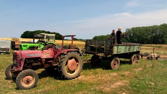 Kein Trecker ist auf Jörgs Hof jünger als 40 Jahre. © NDR 