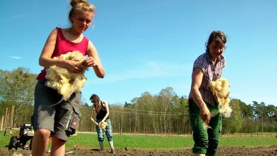 Jette bringt mit einer Kollegin Schafwolle aus, um dem sandigen Boden auf die Sprünge zu helfen. © NDR 