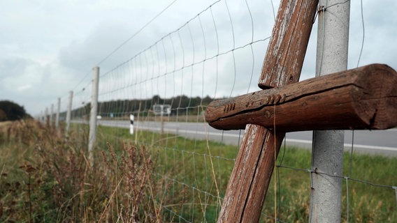 Ein Holzkreuz mit acht Nägeln steht an einer Straße. © NDR 