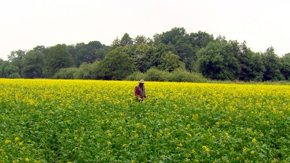 Landwirt Jan Wreesmann aus Friesoythe pflanzt in diesem Jahr Senf an. © NDR/TV Plus/Florian Stege 