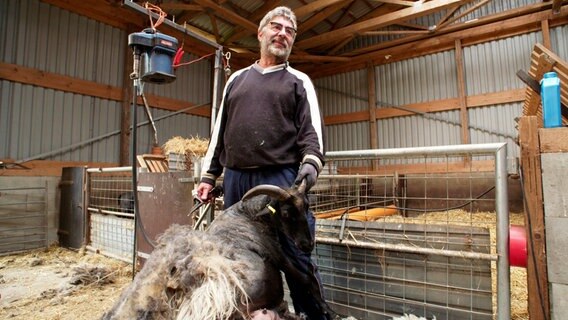 Einmal im Jahr muss die Schafwolle runter: Dieter Kelbert bei der Schur. © NDR/erdmanns Filmproduktion 