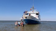 Abenteuer-Tour zum Japsand © NDR 
