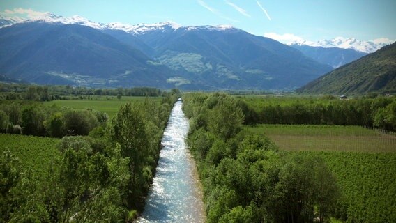 Der Oberlauf der Etsch fließt durch den Vinschgau, eines der trockensten Täler der Alpen, das vom Apfelanbau geprägt ist. Im Vinschgau ähnelt die Etsch noch einem wilden Gebirgsfluss. © NDR/SWR 
