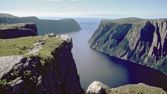 Schroffe Klippen und mächtige Fjorde an der Küste Neufundlands. © NDR/Newfoundland & Labrador Tour 