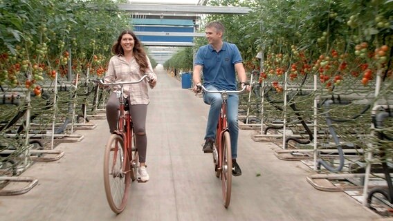 Im größten Gewächshaus Europas geht ohne Fahrrad gar nichts. © NDR/doc.station 