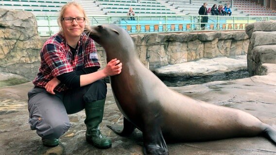 Die Kalifornische Seelöwin Pam soll ein medizinisches Training absolvieren. Pam ist superschlau und gehört zu den lernwilligsten Bewohnern in Yukon Bay, einer der sieben Erlebniswelten des Zoos. Ziel der Übung mit Tierpflegerin Jasmin Batzdorfer: Pam soll auf Kommando bestimmte Posen einnehmen und stillhalten. Die Kalifornische Seelöwin Pam soll ein medizinisches Training absolvieren. Pam ist superschlau und gehört zu den lernwilligsten Bewohnern in Yukon Bay, einer der sieben Erlebniswelten des Zoos. Ziel der Übung mit Tierpflegerin Jasmin Batzdorfer: Pam soll auf Kommando bestimmte Posen einnehmen und stillhalten. © NDR/Doclights 2021