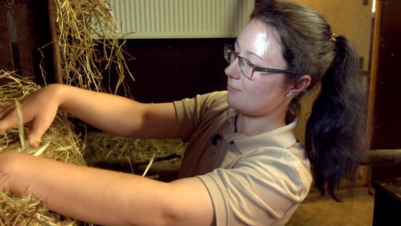 Liebevoll bereitet Tierpflegerin Maggie-Lorene Lehmann das Gehege vor: Hier soll Fine einziehen, ein Rotes Pandaweibchen aus dem Budapester Zoo. Liebevoll bereitet Tierpflegerin Maggie-Lorene Lehmann das Gehege vor: Hier soll Fine einziehen, ein Rotes Pandaweibchen aus dem Budapester Zoo. © NDR/Doclights 2021