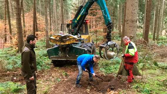 Förster Arne Schulz (l.), Jonas Höhne (M.) vom Verein "Harburger Berge" und Forstwirt Jan Appelt (r.) beim Anlegen eines Mountainbike-Trails. Förster Arne Schulz (l.), Jonas Höhne (M.) vom Verein "Harburger Berge" und Forstwirt Jan Appelt (r.) beim Anlegen eines Mountainbike-Trails. © NDR/doclights GmbH