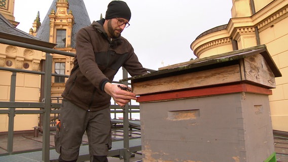 Hausmeister Stefan Dietrich betreut die Schlossbienen auf dem Dach. © NDR 