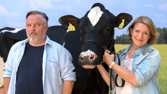 Die Kuh Gloria ist Juttas Liebling. © NDR/ARD Degeto/Frédéric Batier 