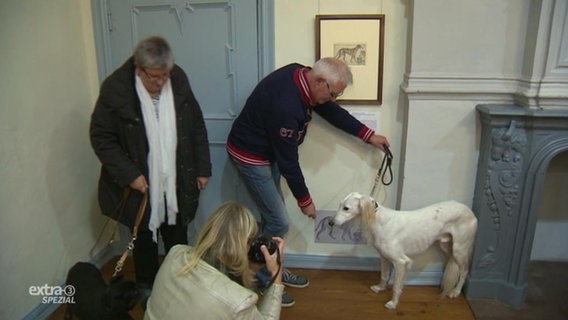 Besitzer zeigt seinem Hund ein Gemälde, dieser schaut uninteressiert weg  