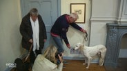 Besitzer zeigt seinem Hund ein Gemälde, dieser schaut uninteressiert weg  