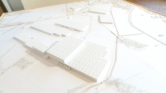 Ein Modell zeigt eine geplante Wellpappenfabrik in Hodenhagen. Ein Modell zeigt eine geplante Wellpappenfabrik in Hodenhagen. © Screenshot