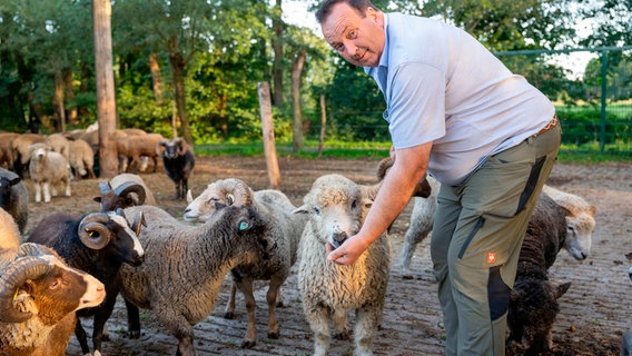 Ludger Bremehr mit einigen seiner unterschiedlichen Schafen. © NDR/WDR/Melanie Grande 