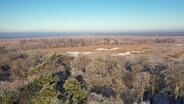 Blick auf das Hütelmoor in der Rostocker Heide. © Screenshot 