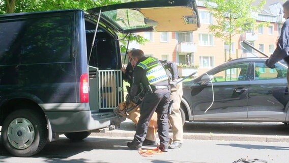 Ein Hund mit Maulkorb wird von Polizisten in einen Kofferraum geladen © Screenshot 