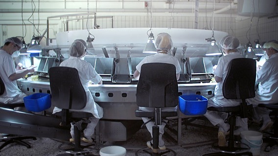 Vier Menschen in Schutzkleidung sitzen an einer Maschine. © NDR 