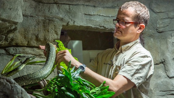 Schlangen hat der Leiter des Tropen-Aquariums Dr. Guido Westhoff schon in Australien an der Universität in Queensland erforscht. © NDR/Doclights GmbH 2017 
