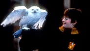 Harry Potter (Daniel Radcliffe) und seine Eule Hedwig in der Verfilmung des ersten Romans: HARRY POTTER UND DER STEIN DES WEISEN (Original: Harry Potter and the Sorcerer's Stone) © picture-alliance / KPA Honorar & 